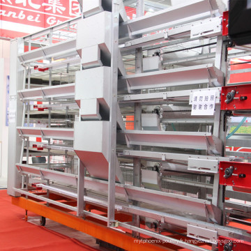 Chine pleine automatique de volaille équipement de conception de batterie cage de poulet